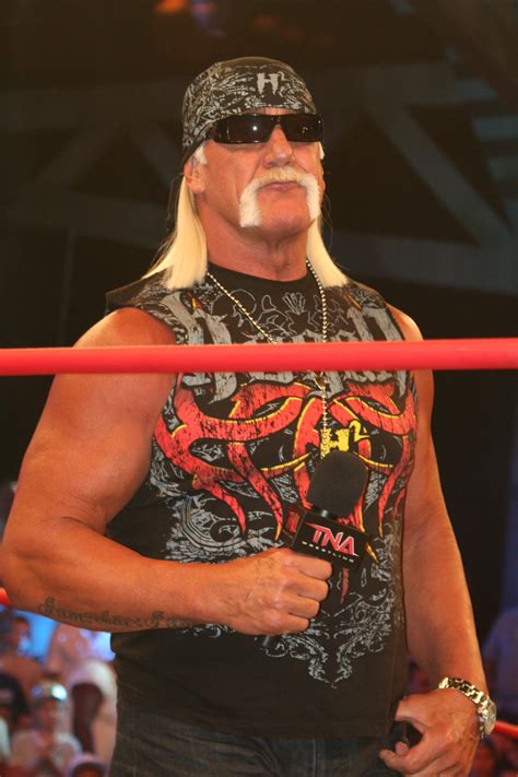 hogan hulk